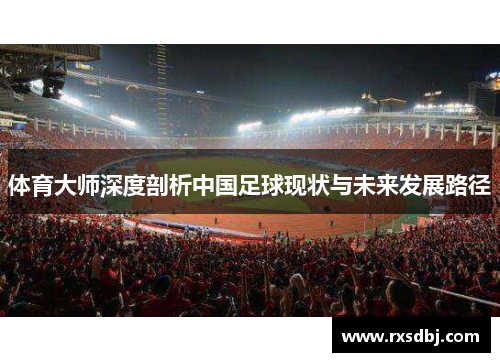体育大师深度剖析中国足球现状与未来发展路径