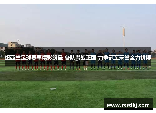 纽西兰足球赛事精彩纷呈 各队激战正酣 力争冠军荣誉全力拼搏